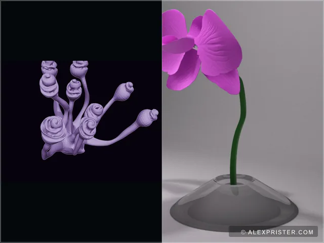 Split view of Alex Prister's sculpted flower cluster and finished orchid model